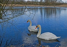 Great Stour Way 6