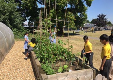 Wexham Court Primary School